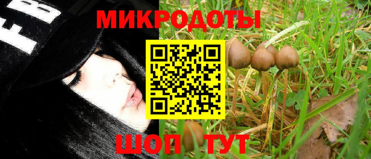 Галлюциногенные грибы MAGIC MUSHROOMS Курчатов