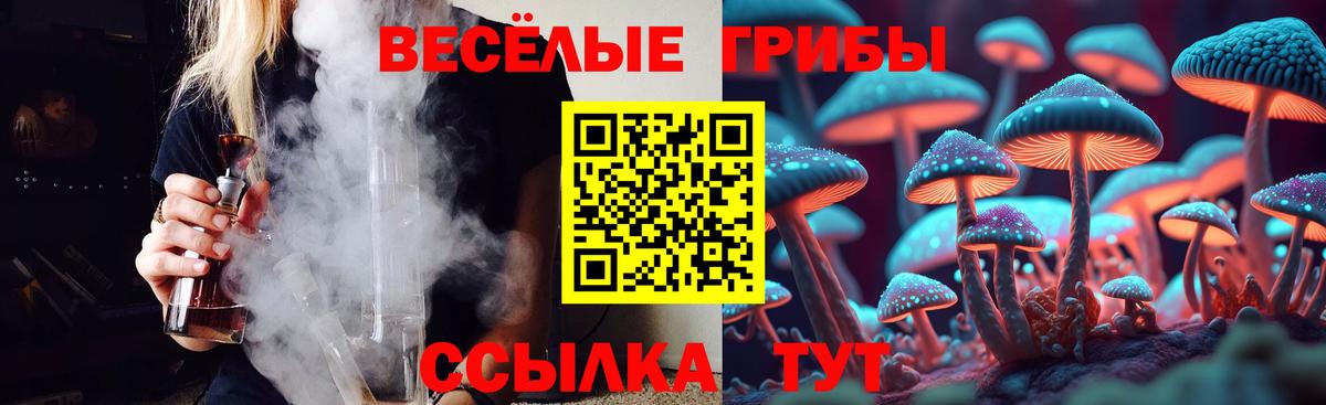 Псилоцибиновые грибы MAGIC MUSHROOMS  Псилоцибиновые грибы ЛСД  Вход с VPN  Курчатов 